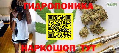 спайс Тара