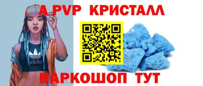 спайс Тара