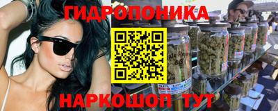 прущие крисы Тверь