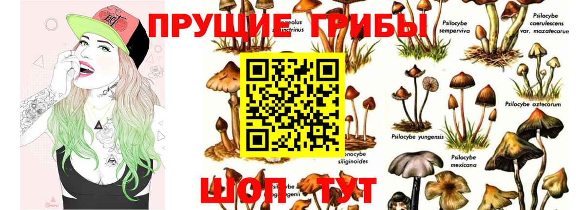 Галлюциногенные грибы мухоморы Борзя